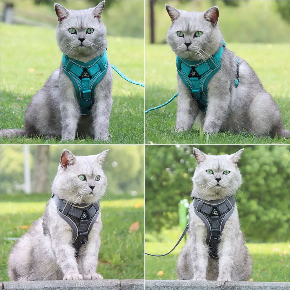 Harness and Leash Set Pet Accessories Dog Harness for Small Dog French Bulldog Pug Pitbull Puppy Pectoral Collar Chiens Supplies