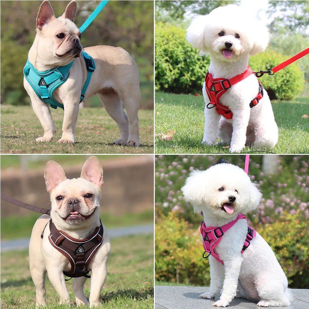 Harness and Leash Set Pet Accessories Dog Harness for Small Dog French Bulldog Pug Pitbull Puppy Pectoral Collar Chiens Supplies